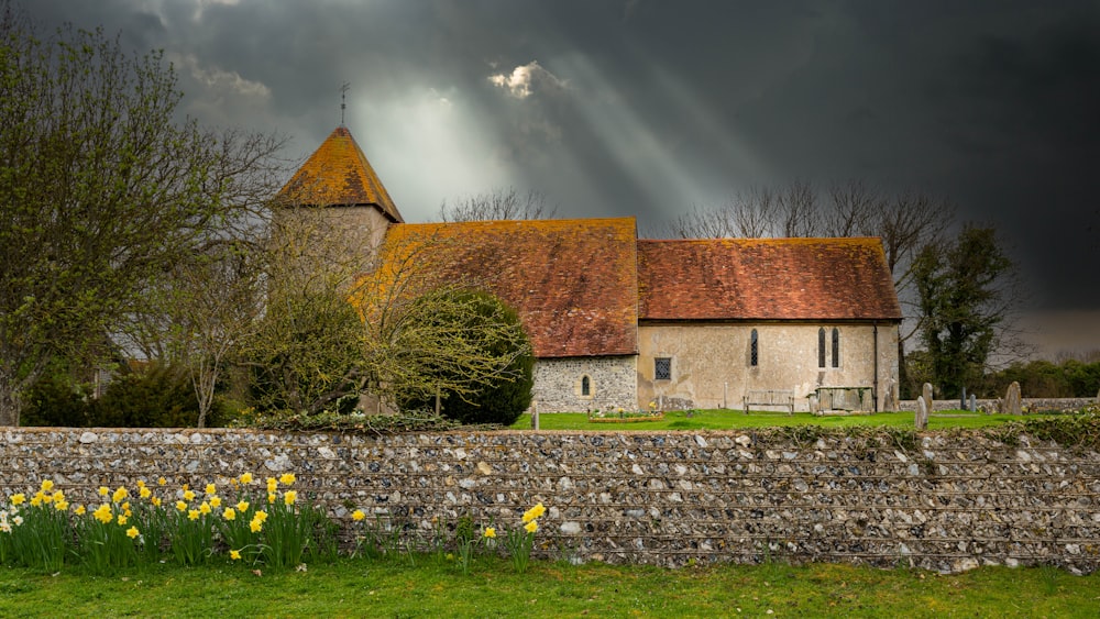 eine Kirche mit einer Steinmauer und einem Narzissenfeld