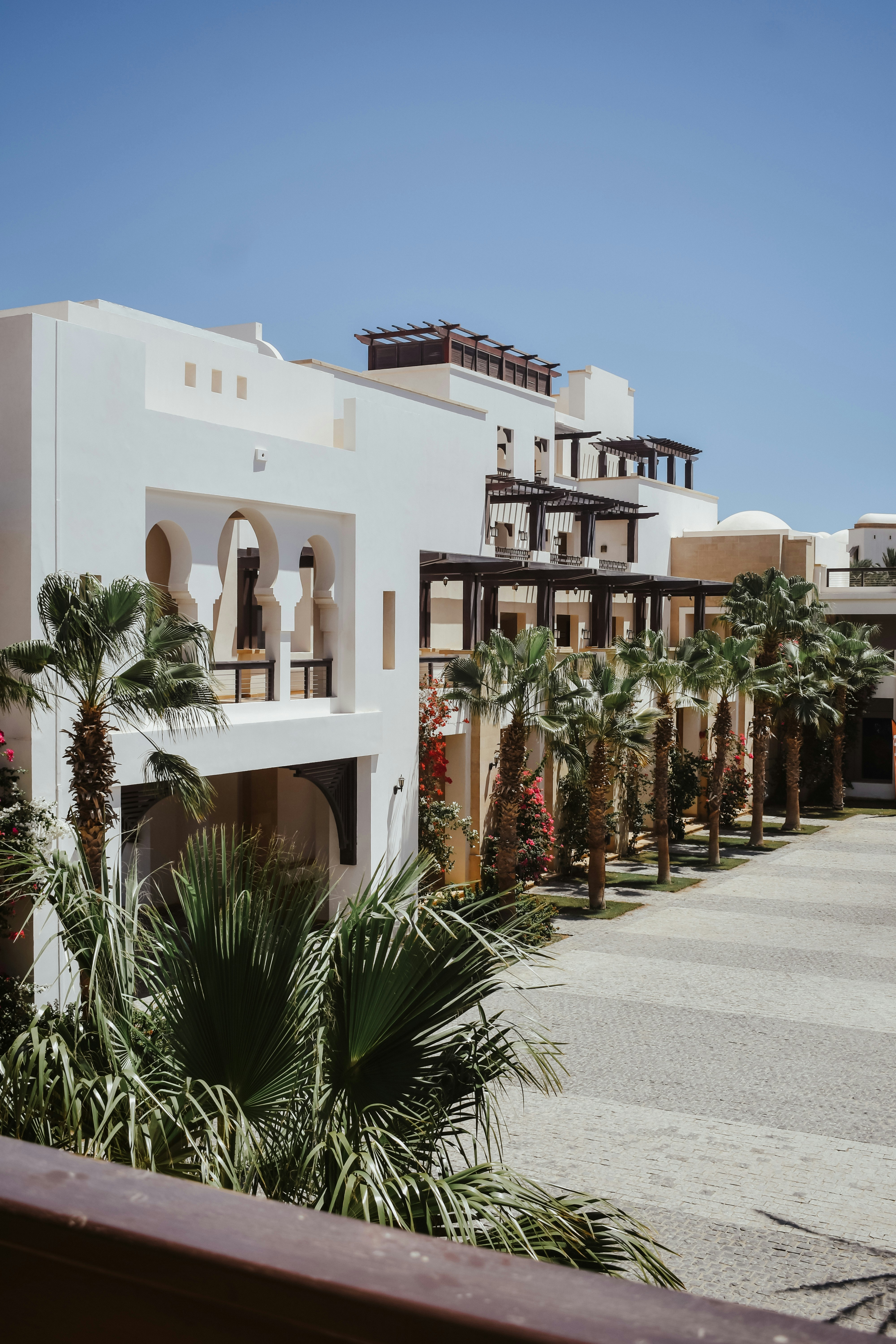 Photo by nourhan_m_sabek