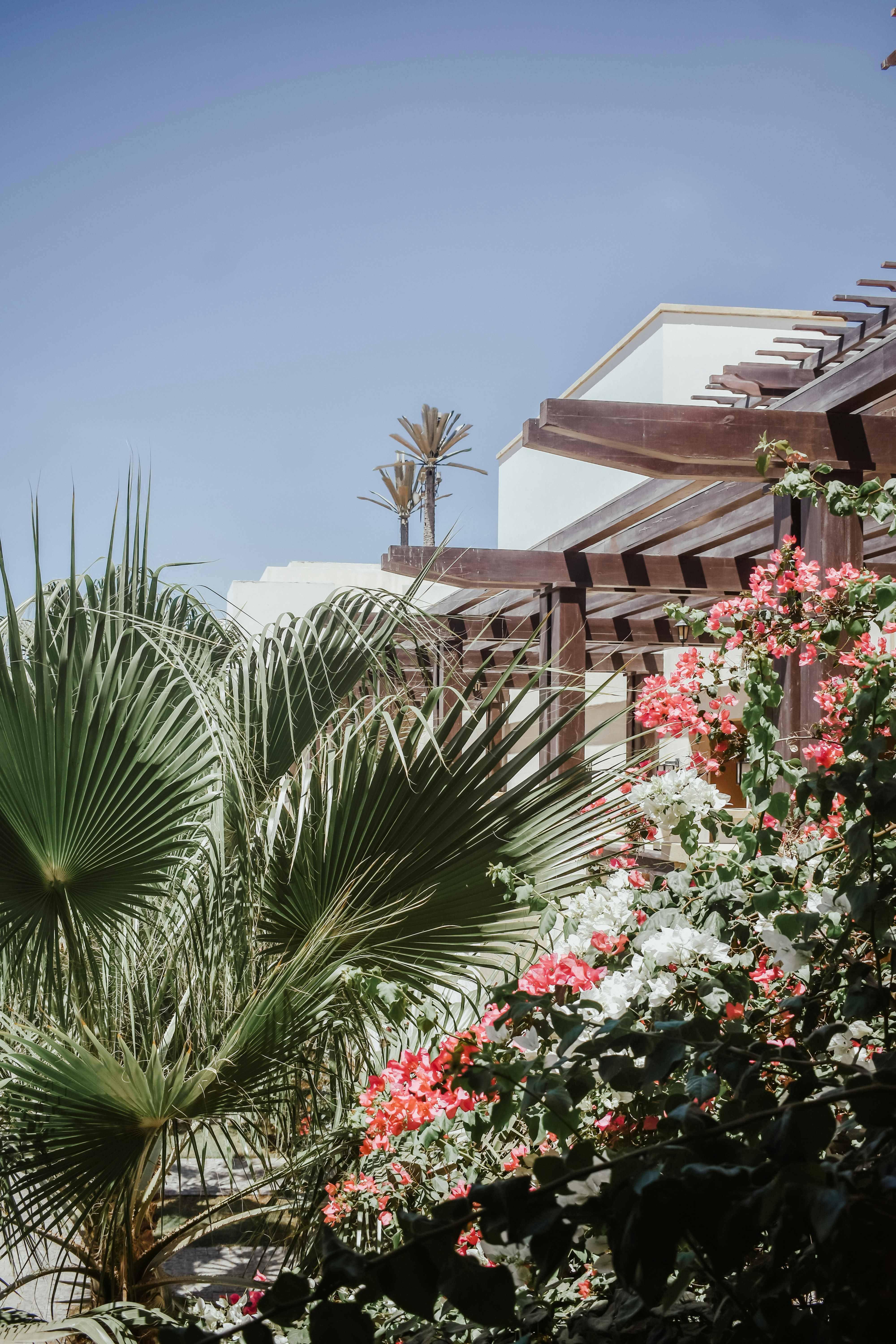 Photo by nourhan_m_sabek