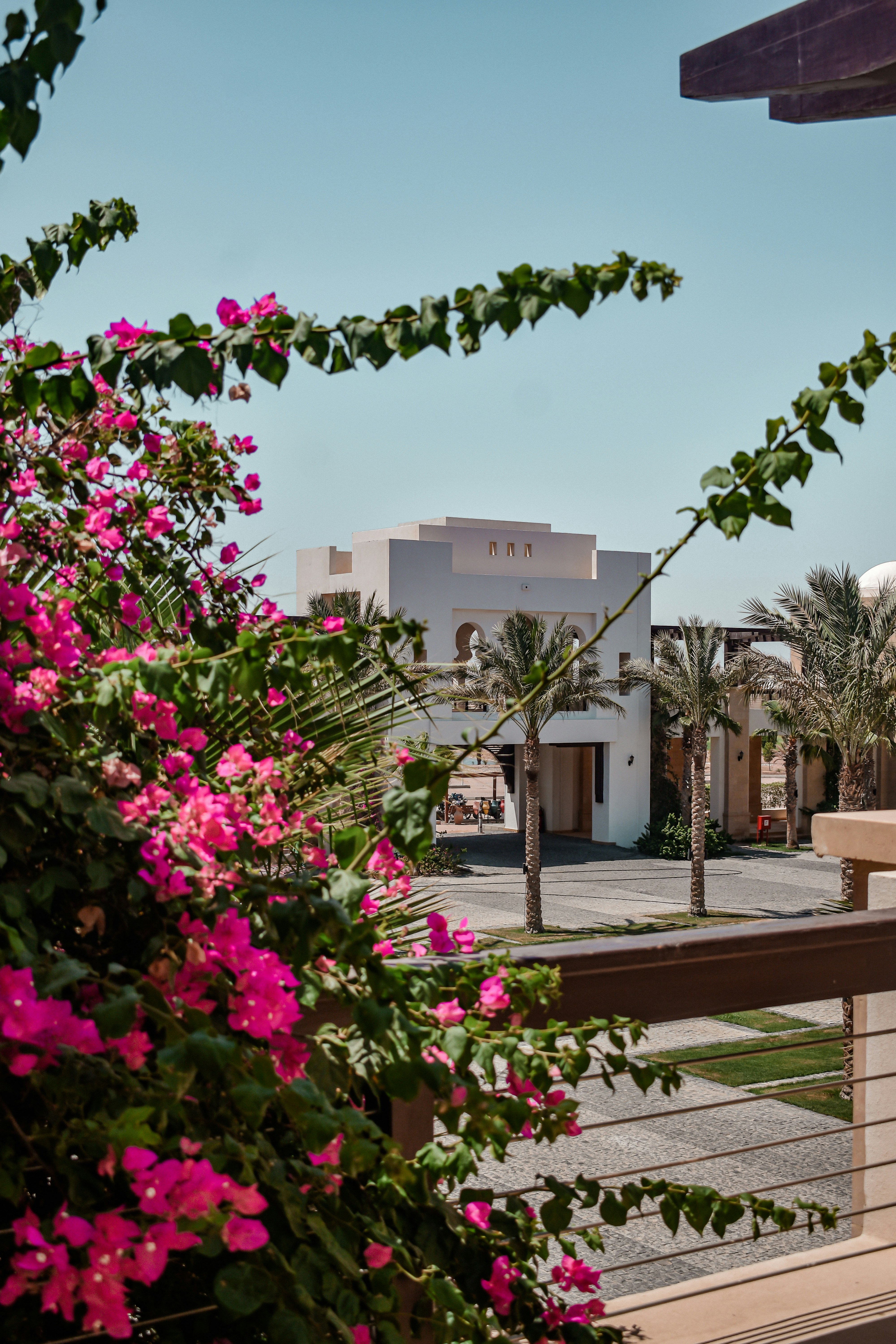 Photo by nourhan_m_sabek