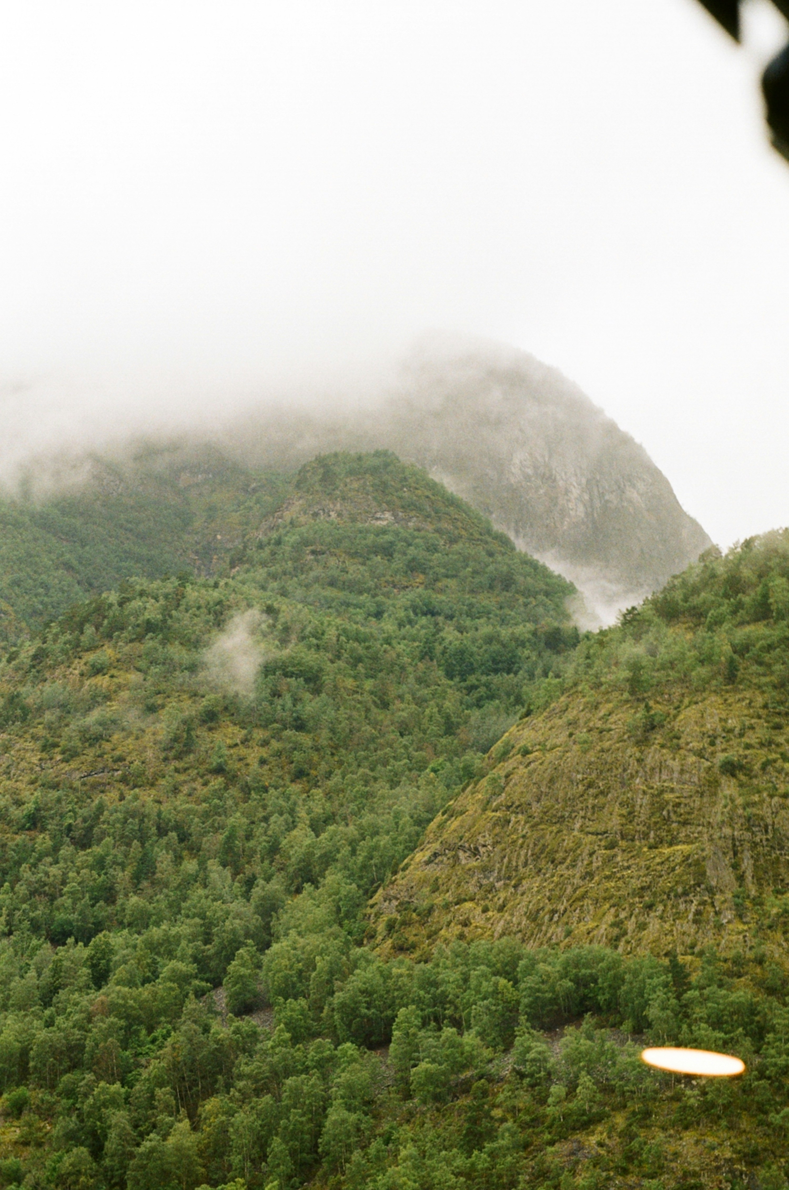 Photo by nadzeya1104