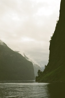 A serene Nordic fjord at dawn, mist curling over still waters framed by towering pine trees.