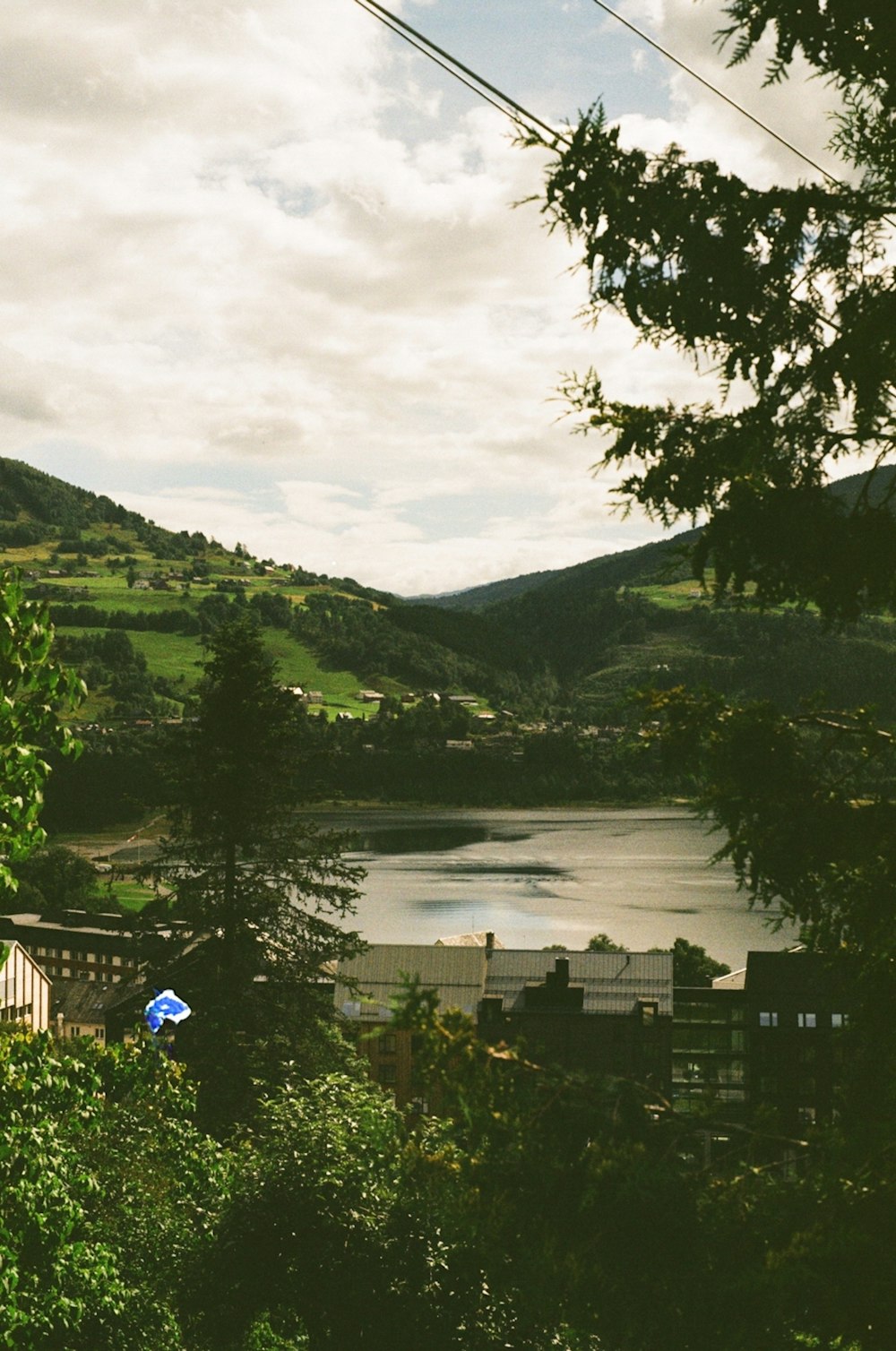 a large body of water surrounded by trees