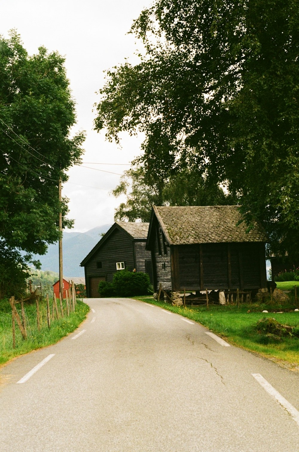 a country road with a house and trees