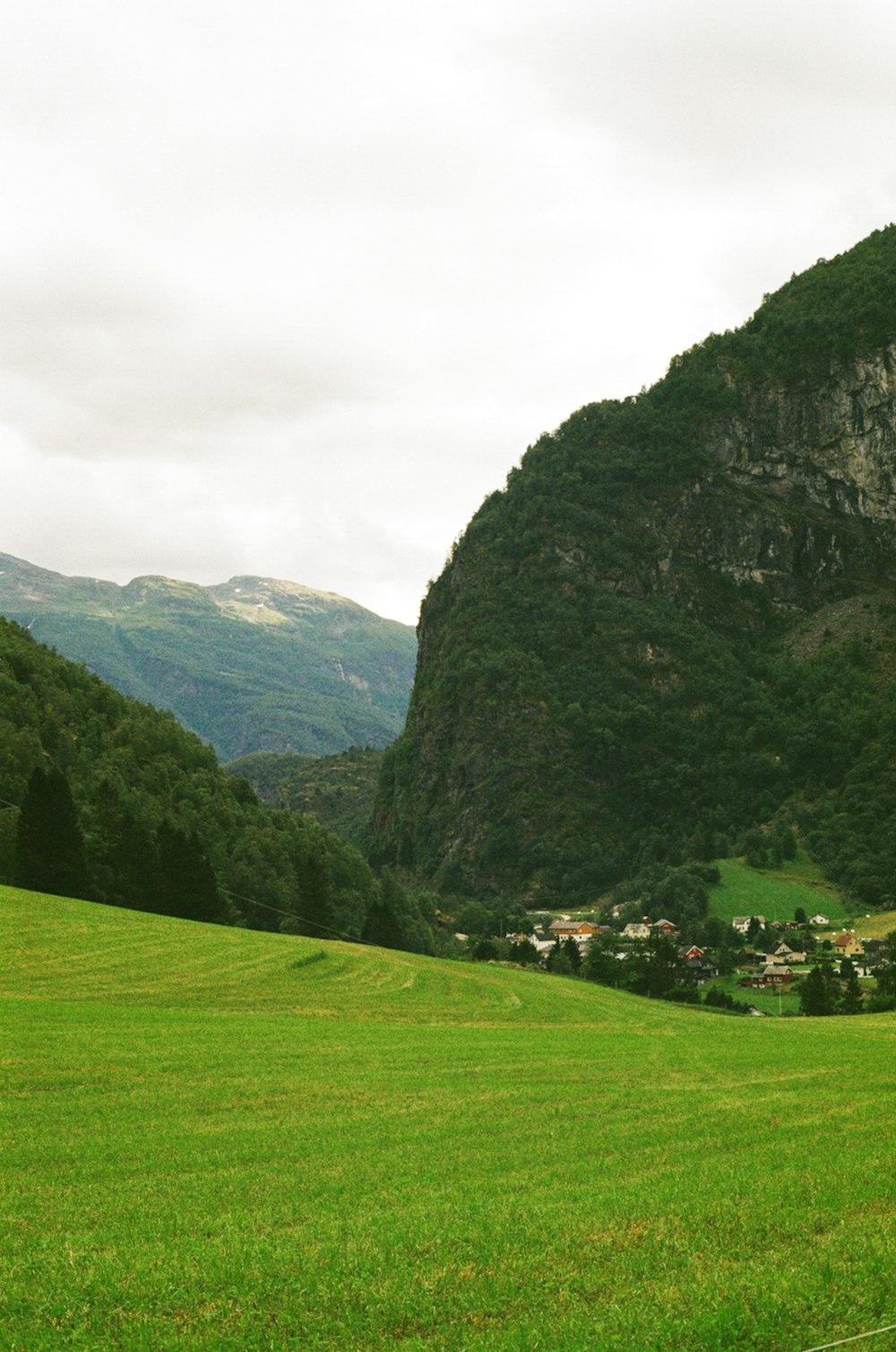 a green field with a mountain in the background