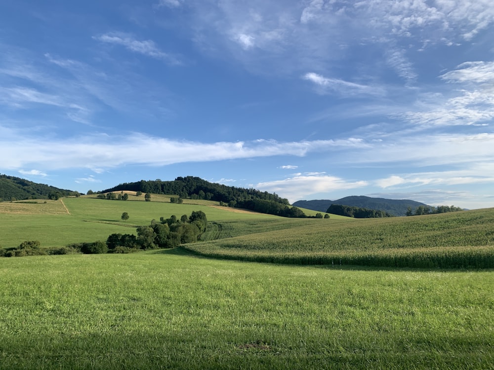 a green field with hills in the background