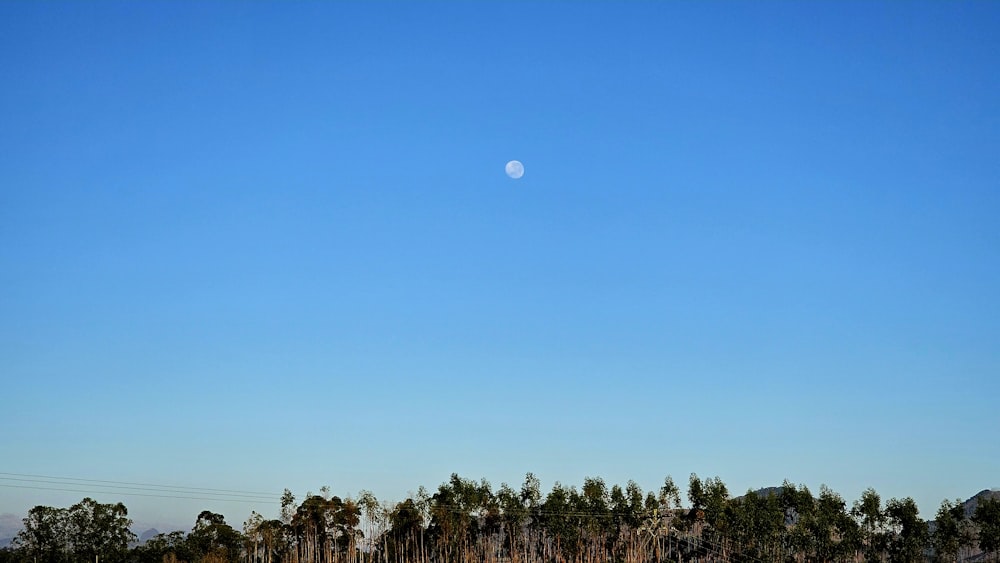 a clear blue sky with a half moon in the distance