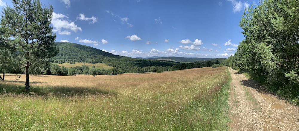 a wide open field with trees and a dirt road