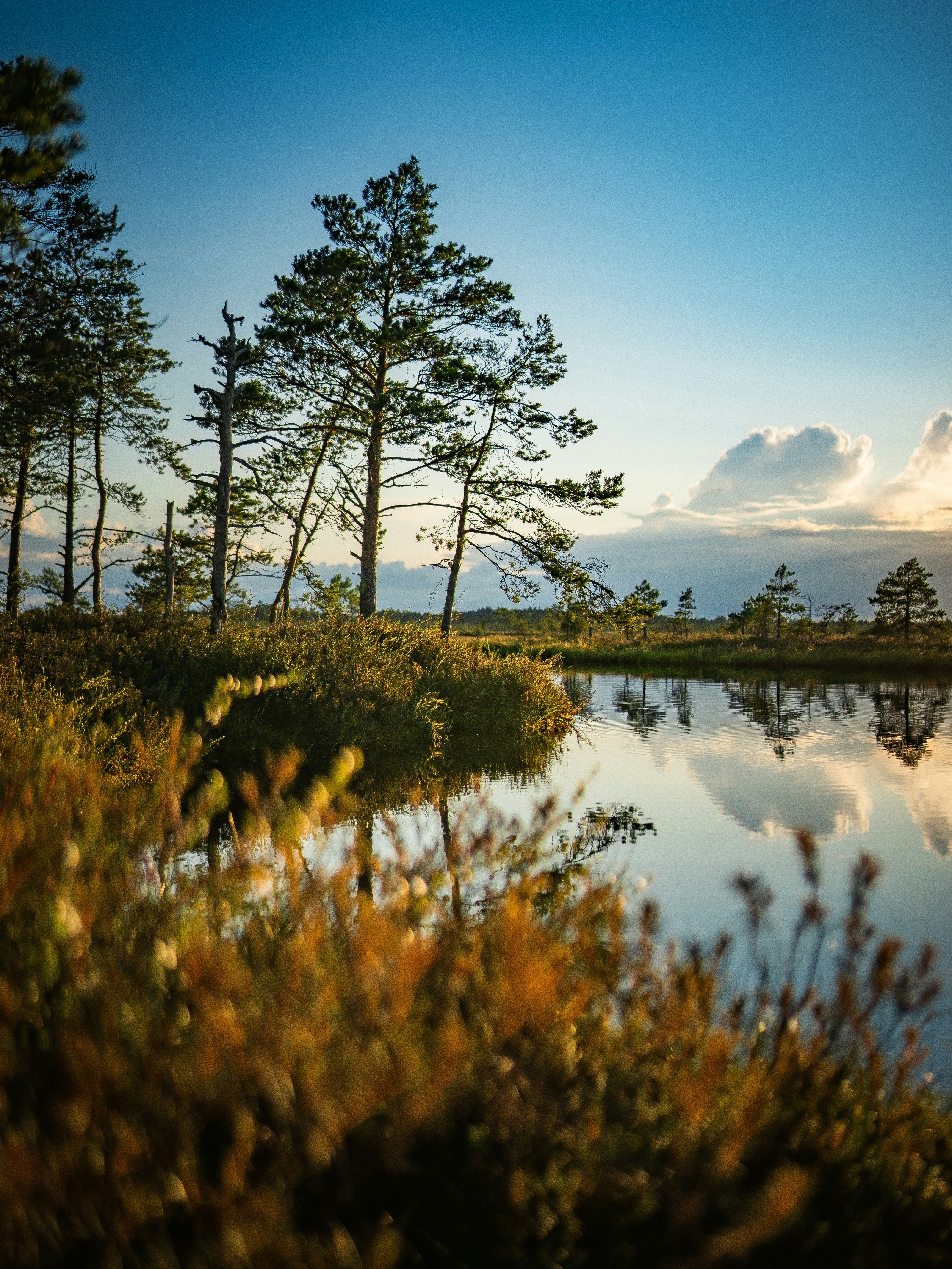 Photo by janekvaldsalu