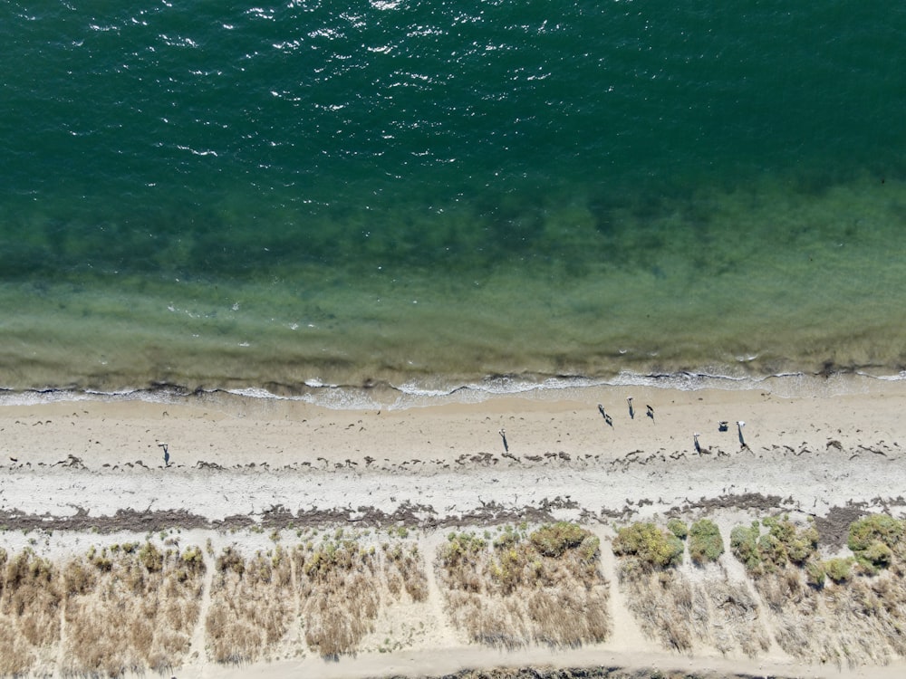 an aerial view of a beach with people walking on it