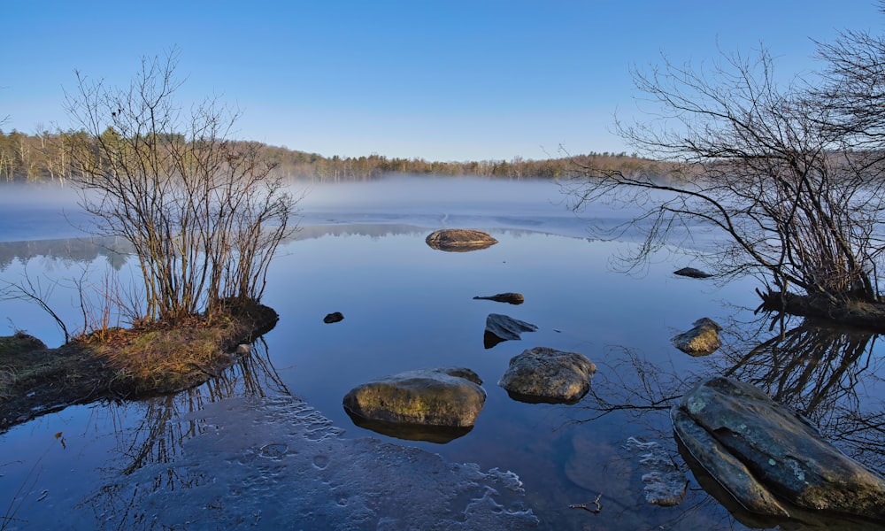 a body of water surrounded by rocks and trees