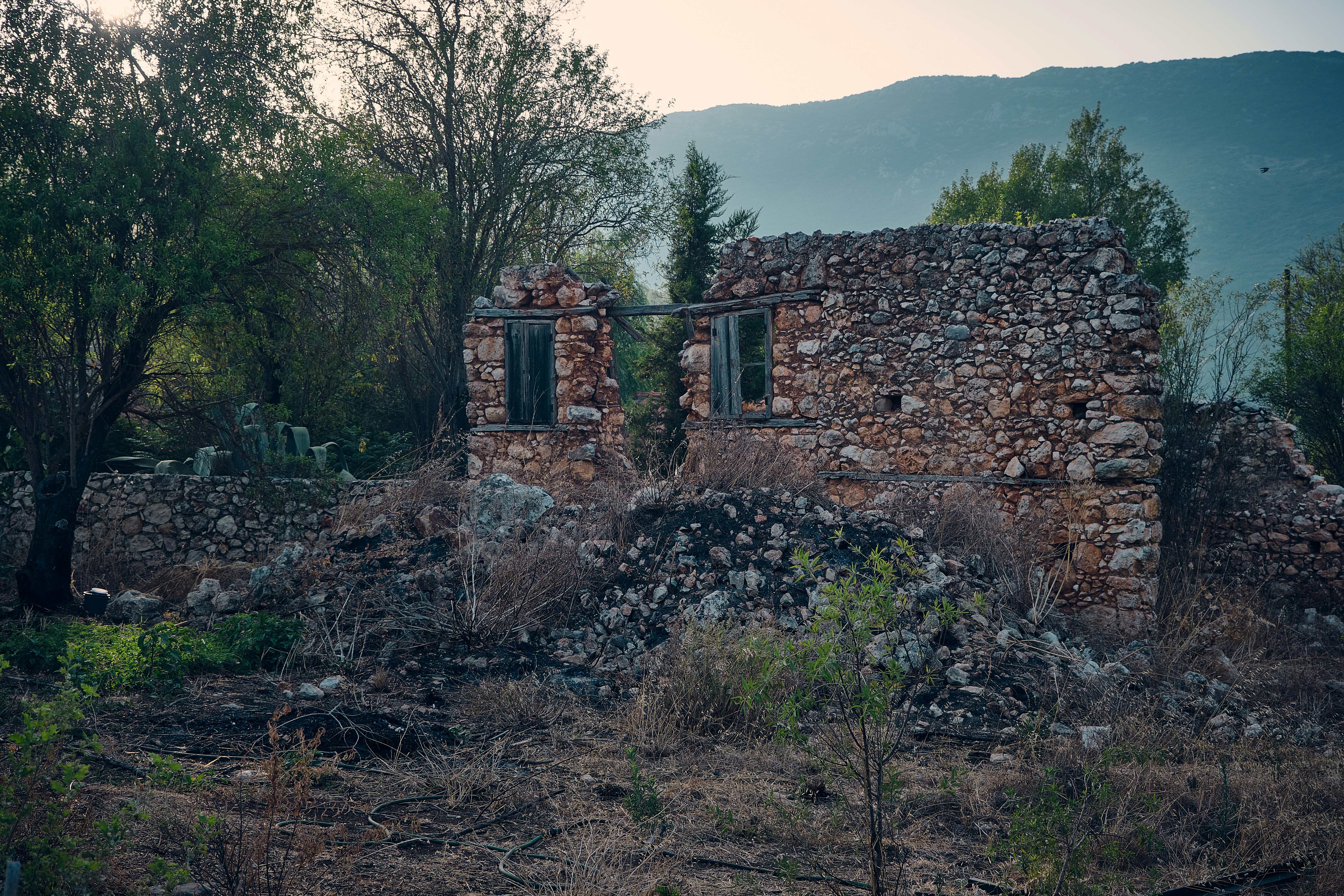 Photo by oguzhantasimaz
