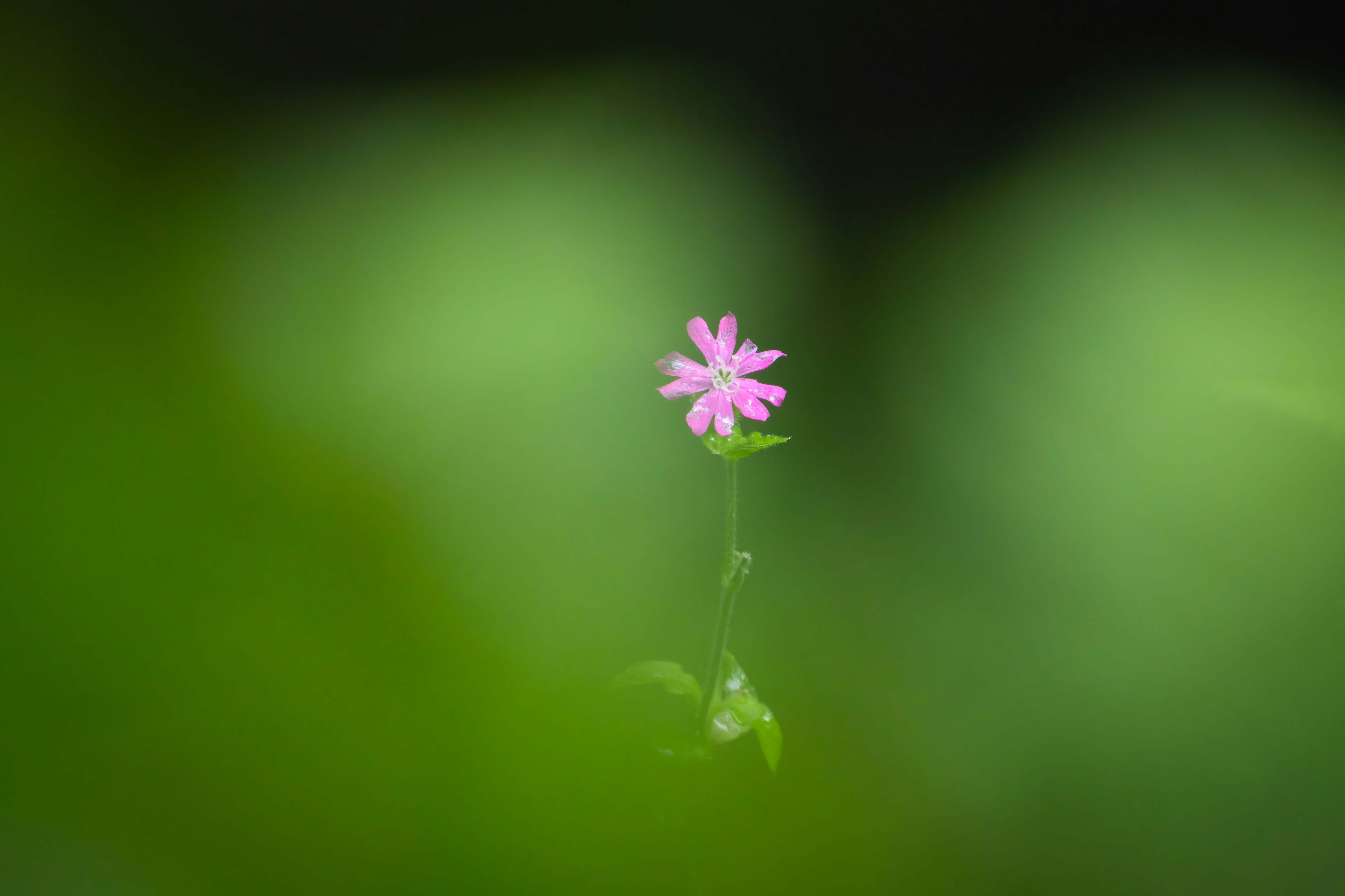 Photo by coombez