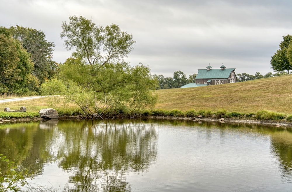 a pond with a house in the background