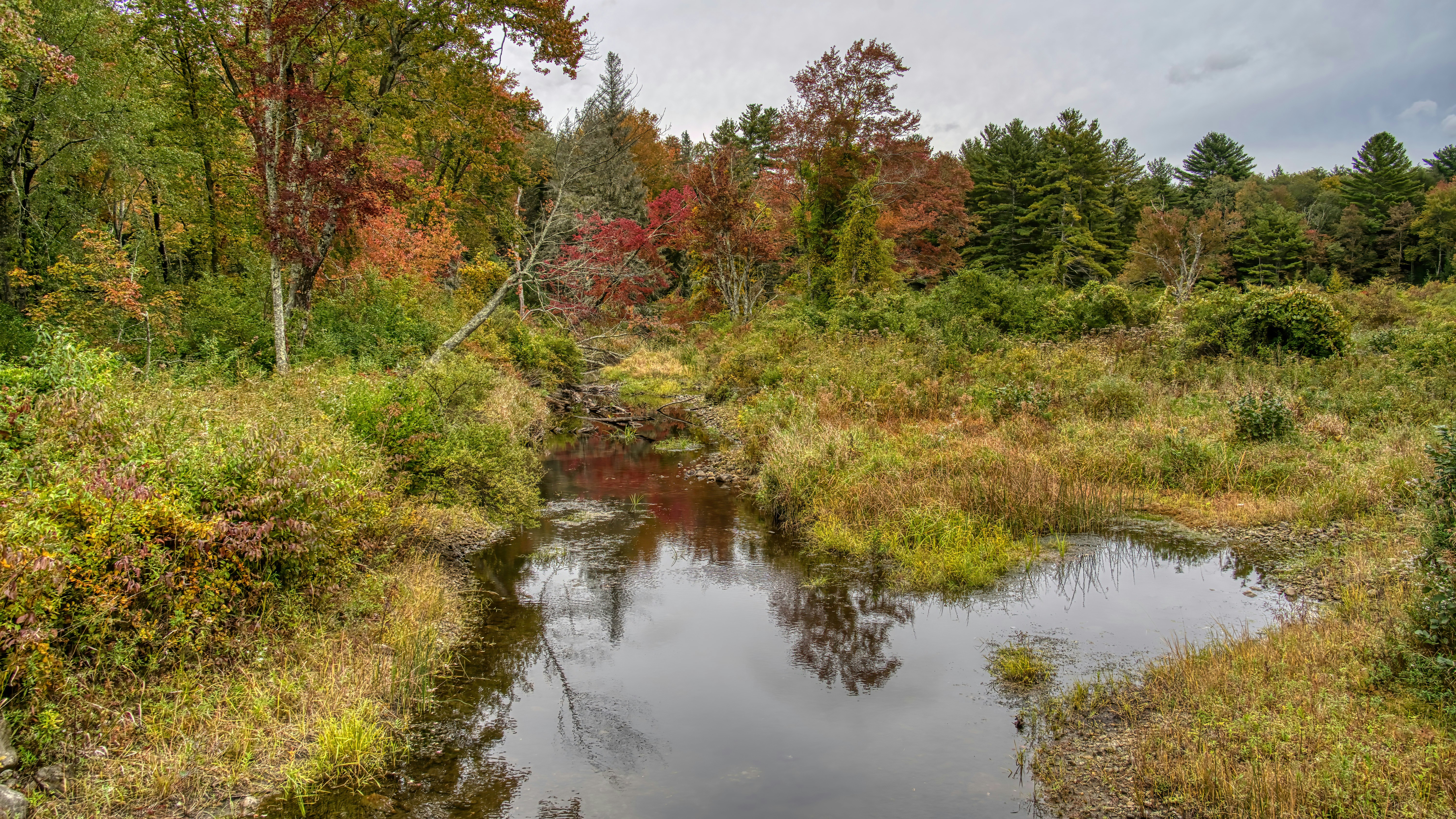 Beaver Brook State Public Hunting Grounds