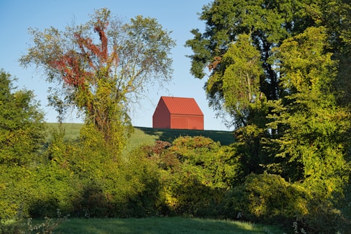 A small red barn sits on a grassy hill, surrounded by lush green and partially autumn-toned trees. The sunlight casts a gentle golden hue, creating a serene natural scene.