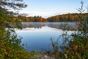 Autumn Lake