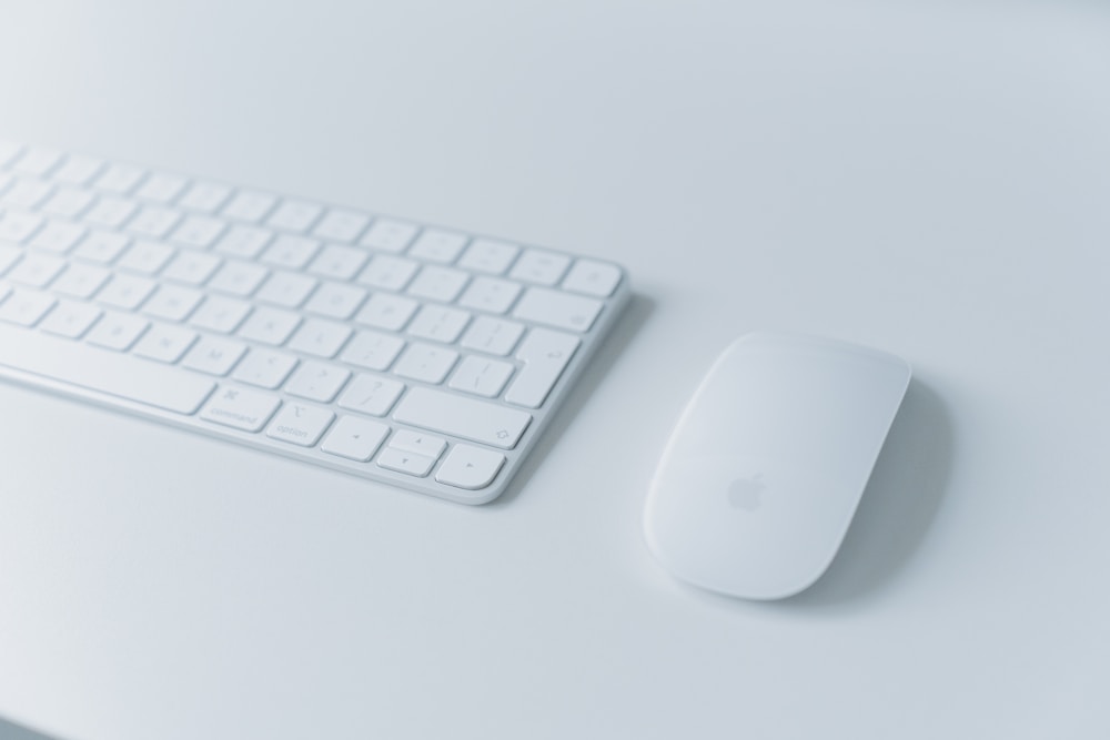 Essential Desk Bundle