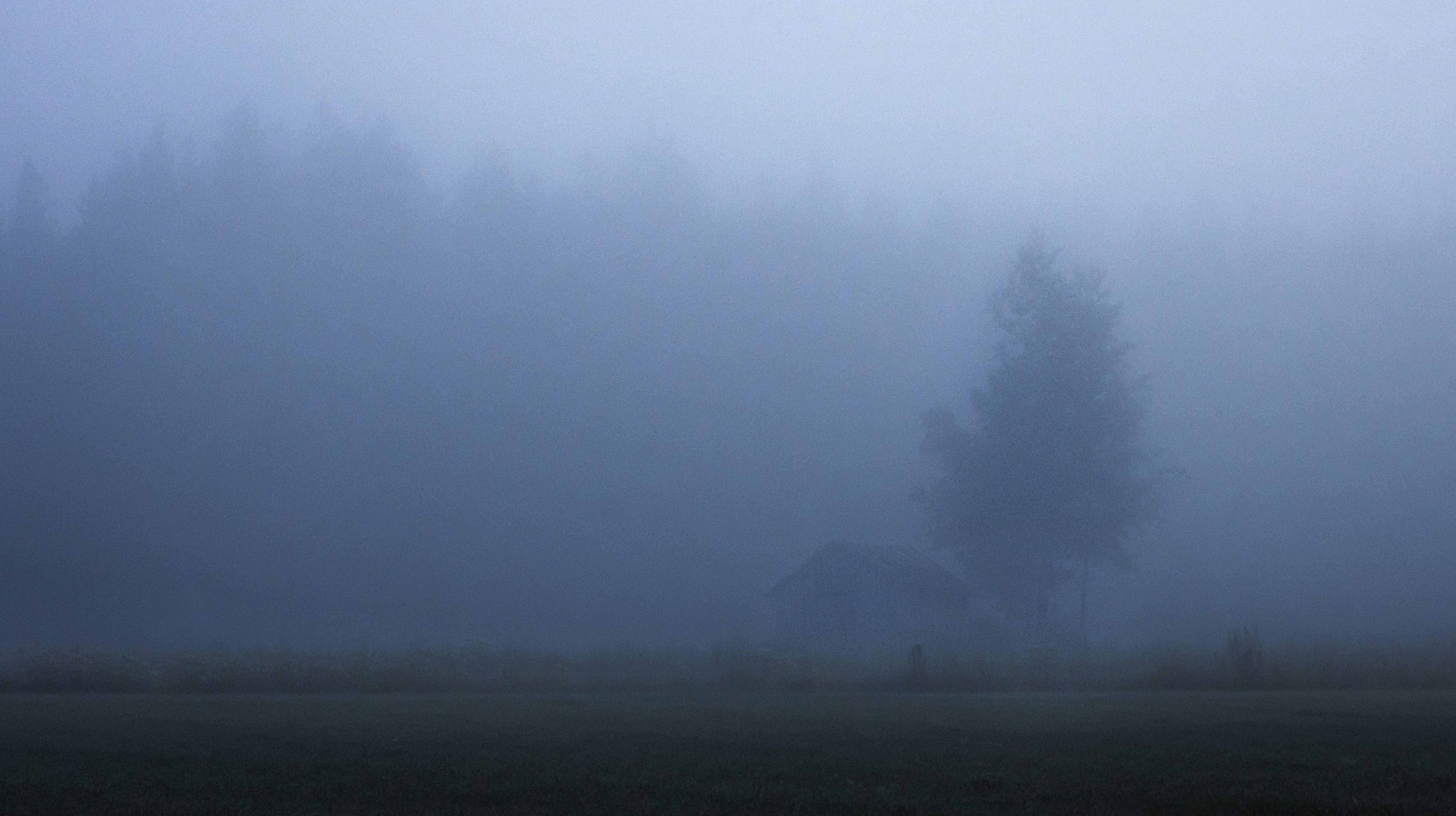 Alone, in the middle of the fog.