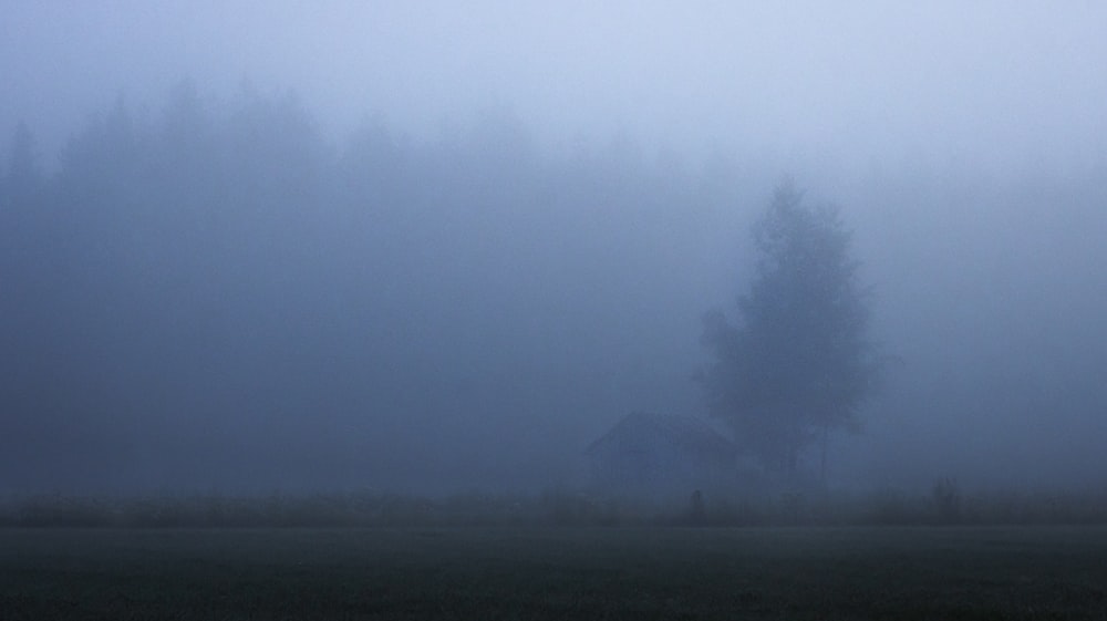 a house in the middle of a foggy field