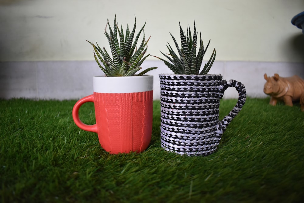 a couple of cups sitting on top of a lush green field