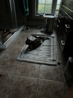A cat is lounging on a patterned rug in a tiled room with a window. There is a cat tree next to the window and a cardboard box on the floor near a shower enclosure. Various cat toys and a food bowl are scattered around the room.