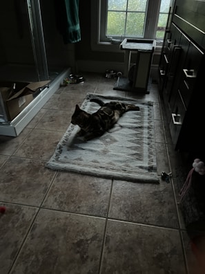 A cat is lounging on a patterned rug in a tiled room with a window. There is a cat tree next to the window and a cardboard box on the floor near a shower enclosure. Various cat toys and a food bowl are scattered around the room.