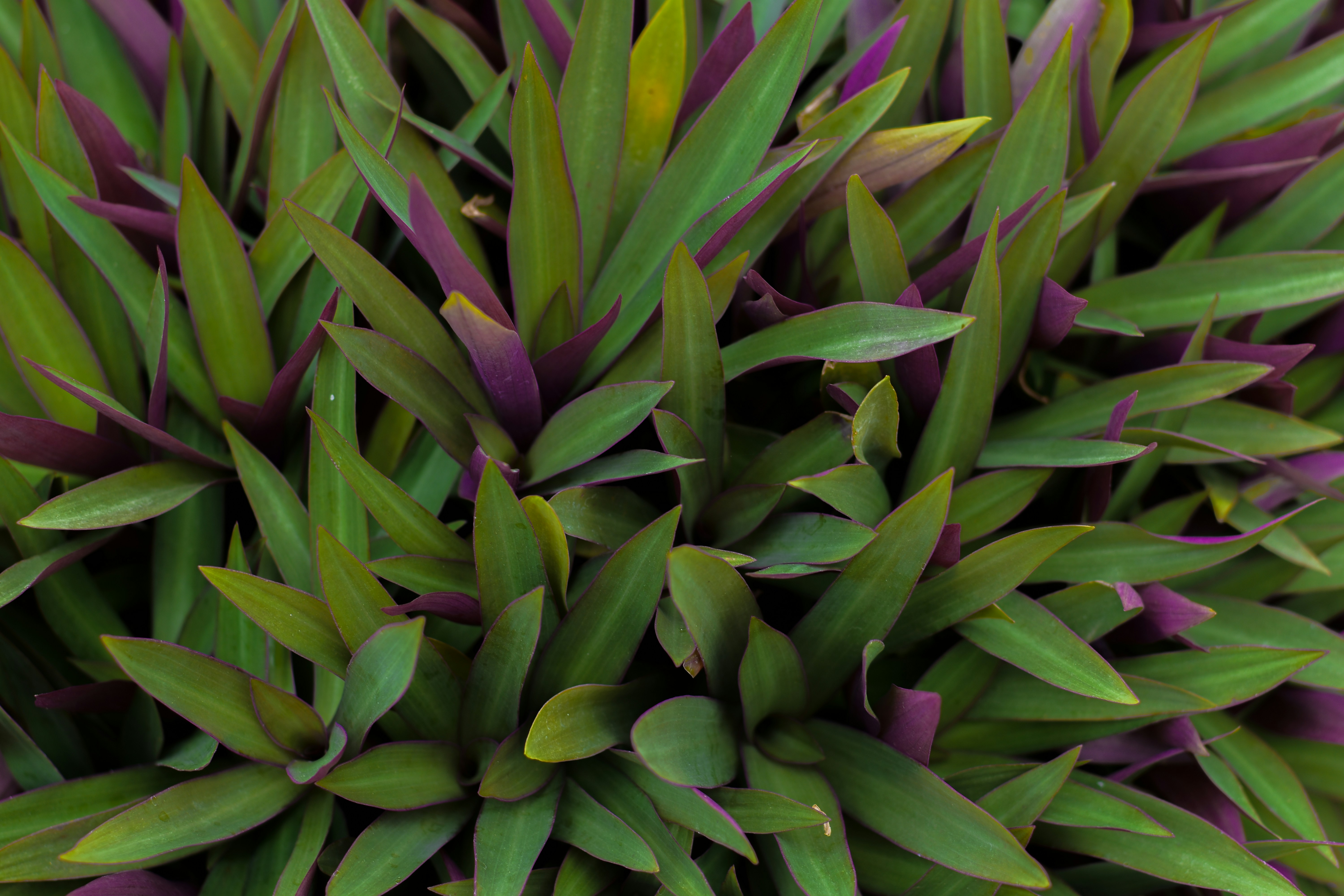 Photo by neelakshi_singh_