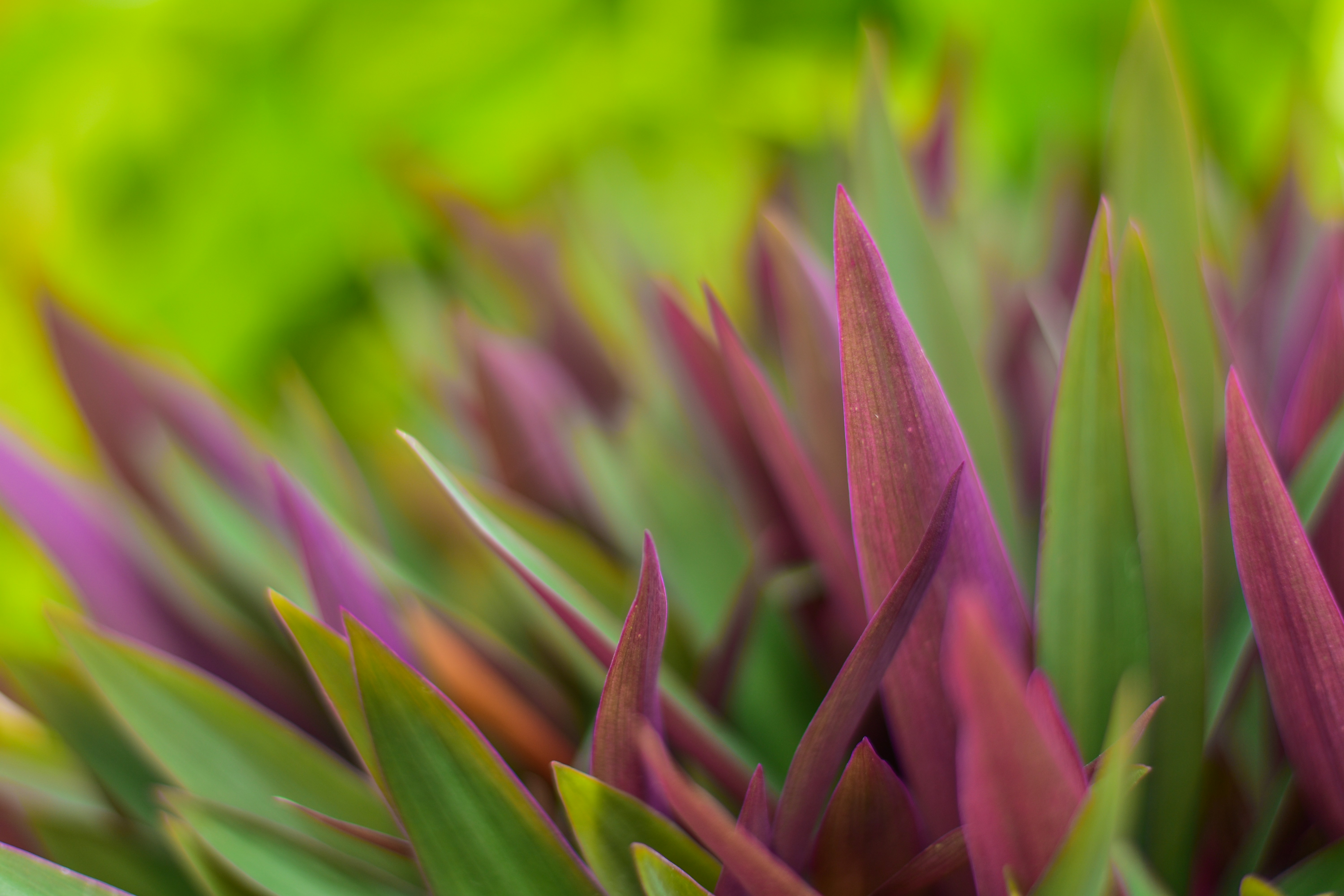 Photo by neelakshi_singh_