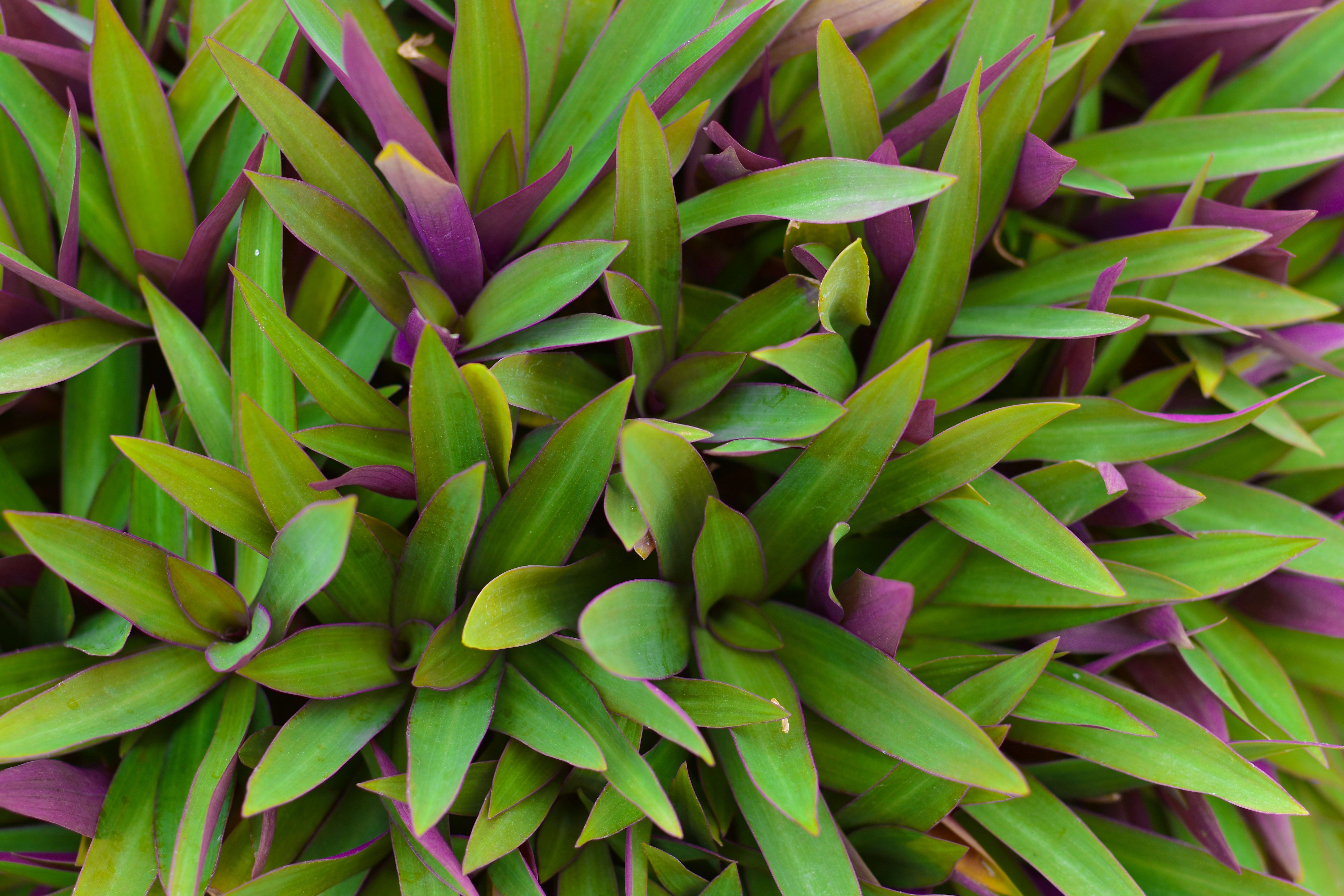 Photo by neelakshi_singh_