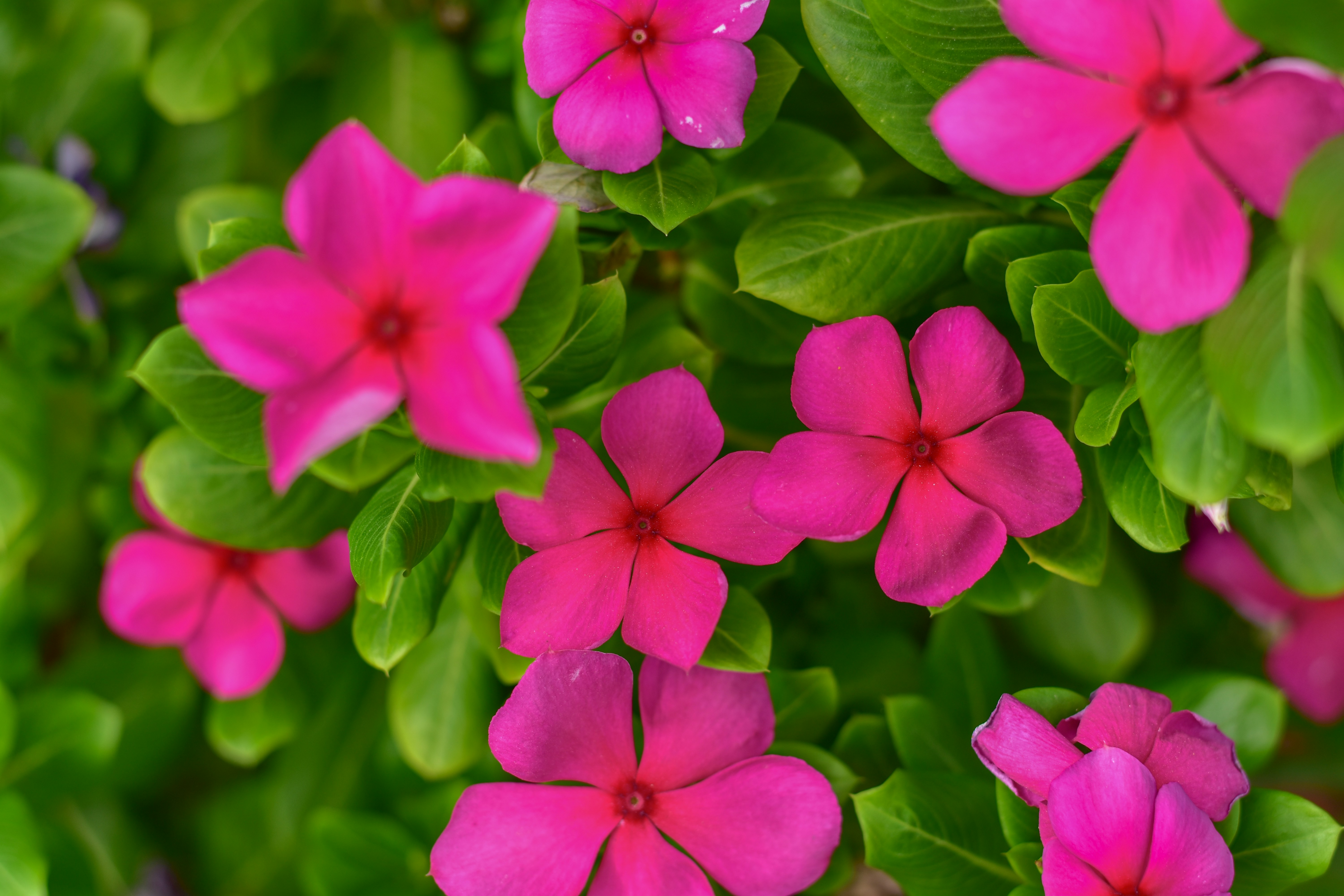 Photo by neelakshi_singh_