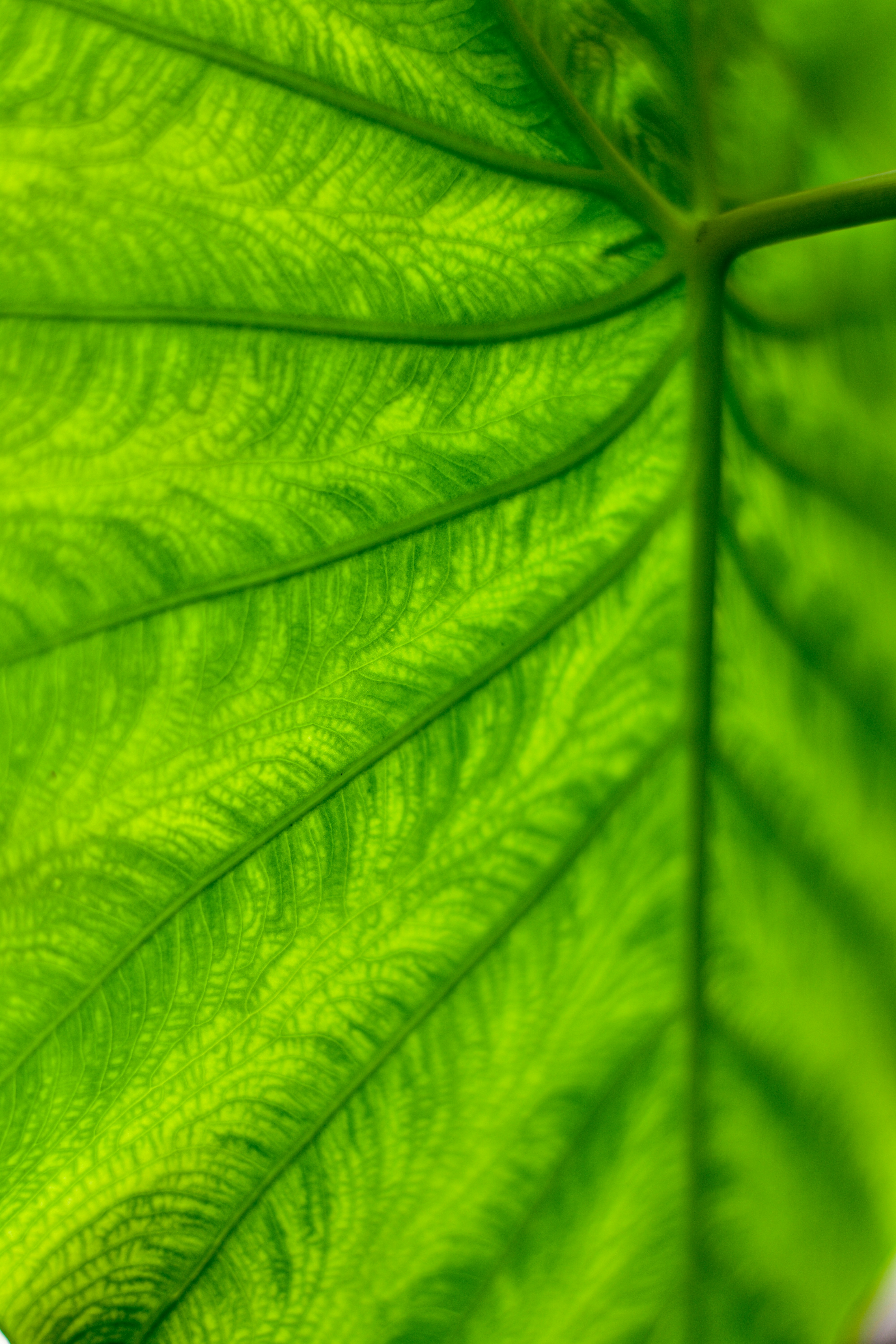 Photo by neelakshi_singh_