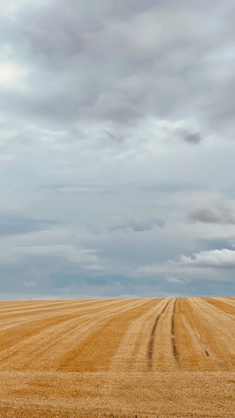 ein großes Feld mit trockenem Gras unter einem bewölkten Himmel