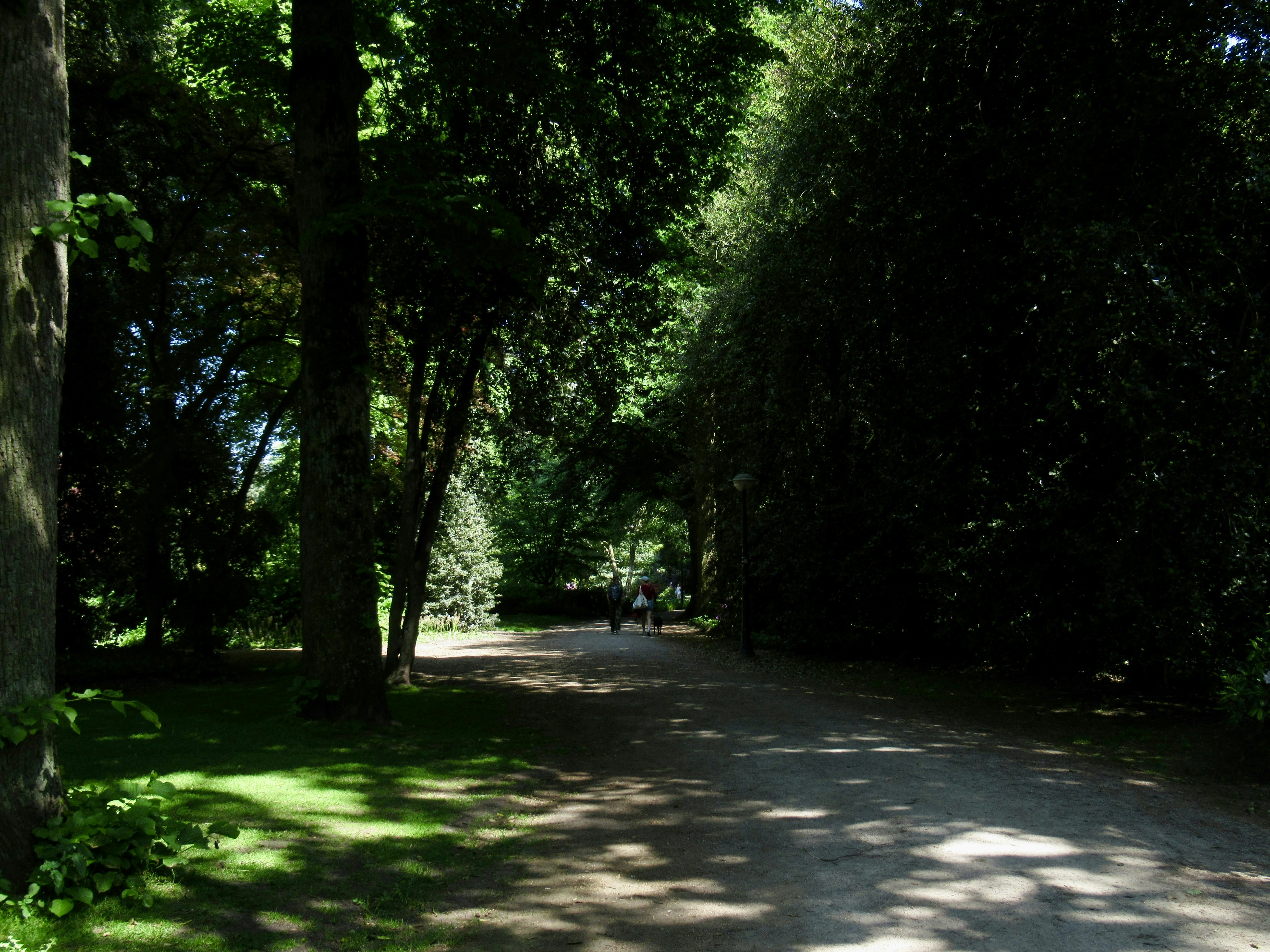 a couple of people walking down a dirt road