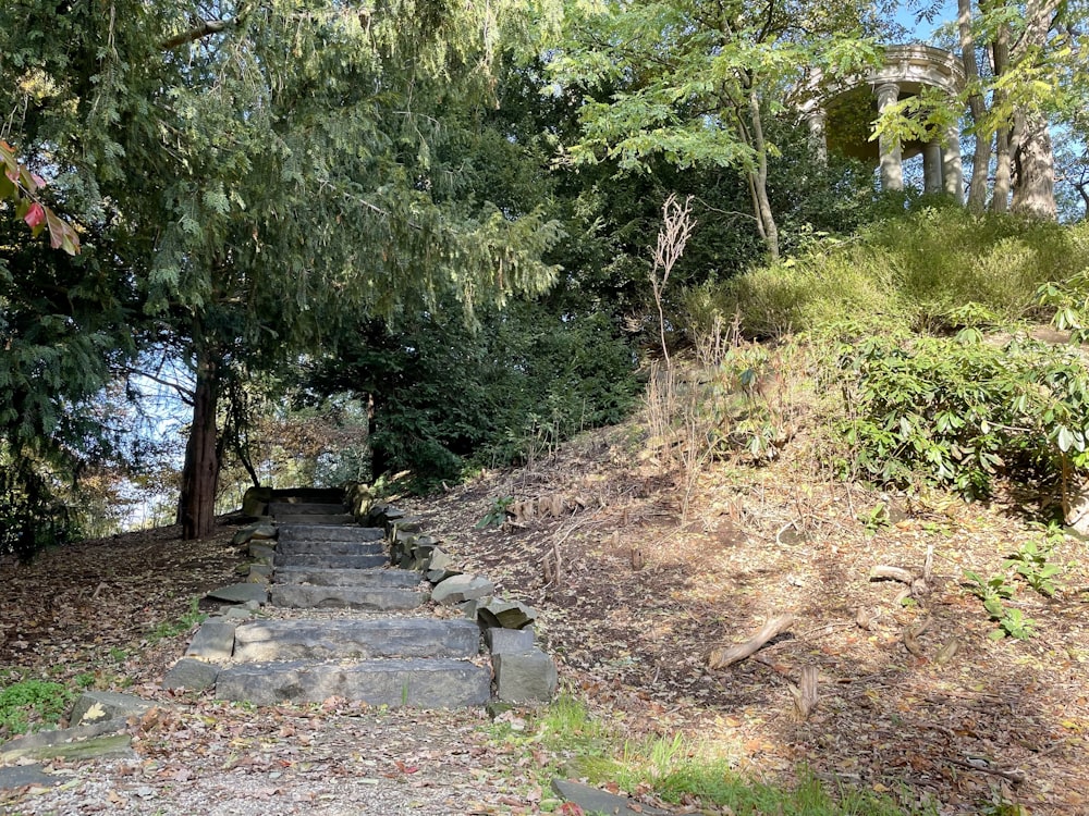 a set of steps leading up to a tree lined hill