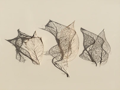 Close-up of delicate botanical casts drying on a wooden table surrounded by natural light.