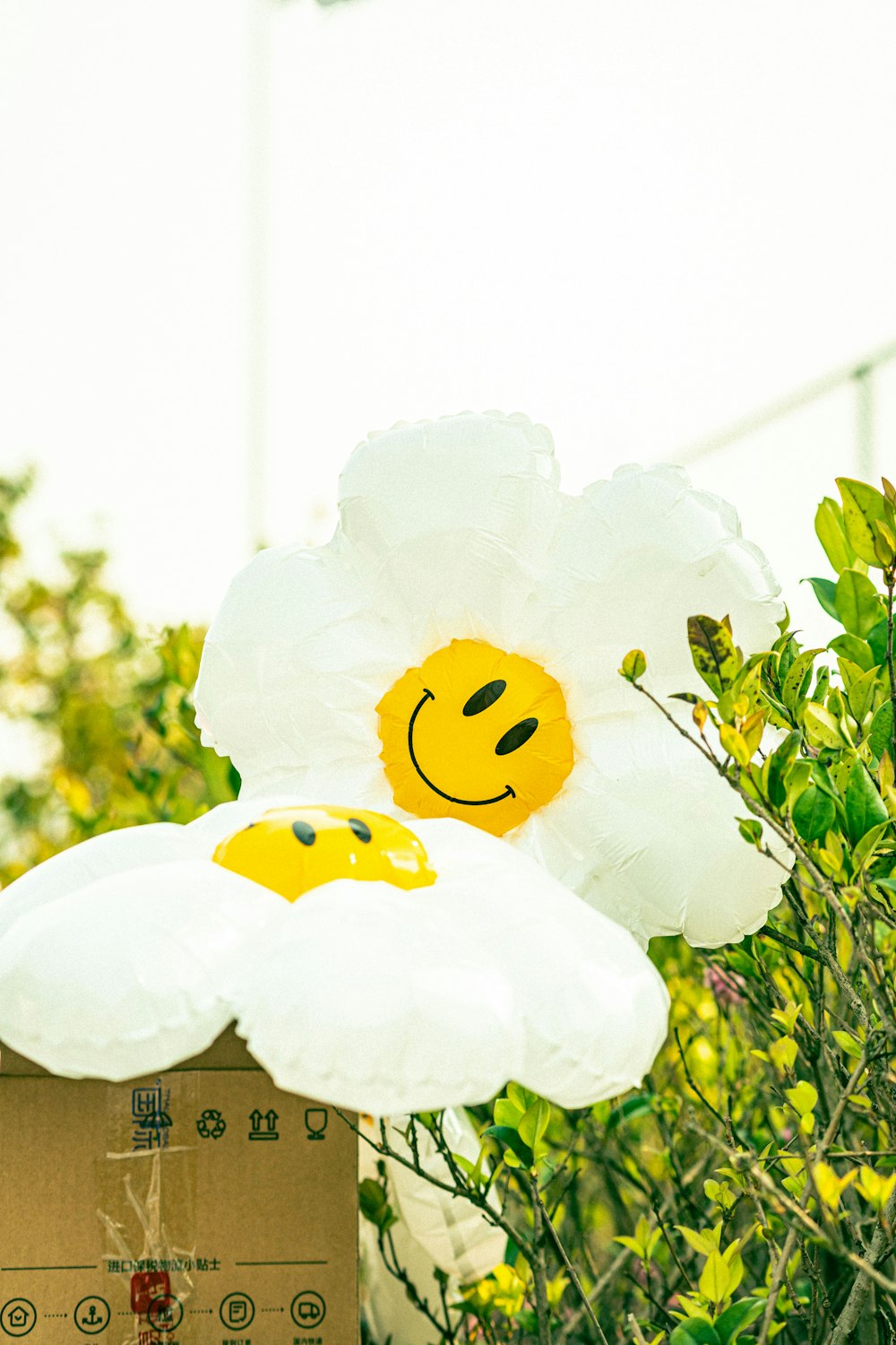 a large white flower with a smiley face on it