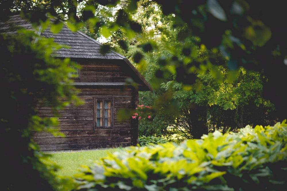 a small wooden cabin surrounded by trees and bushes