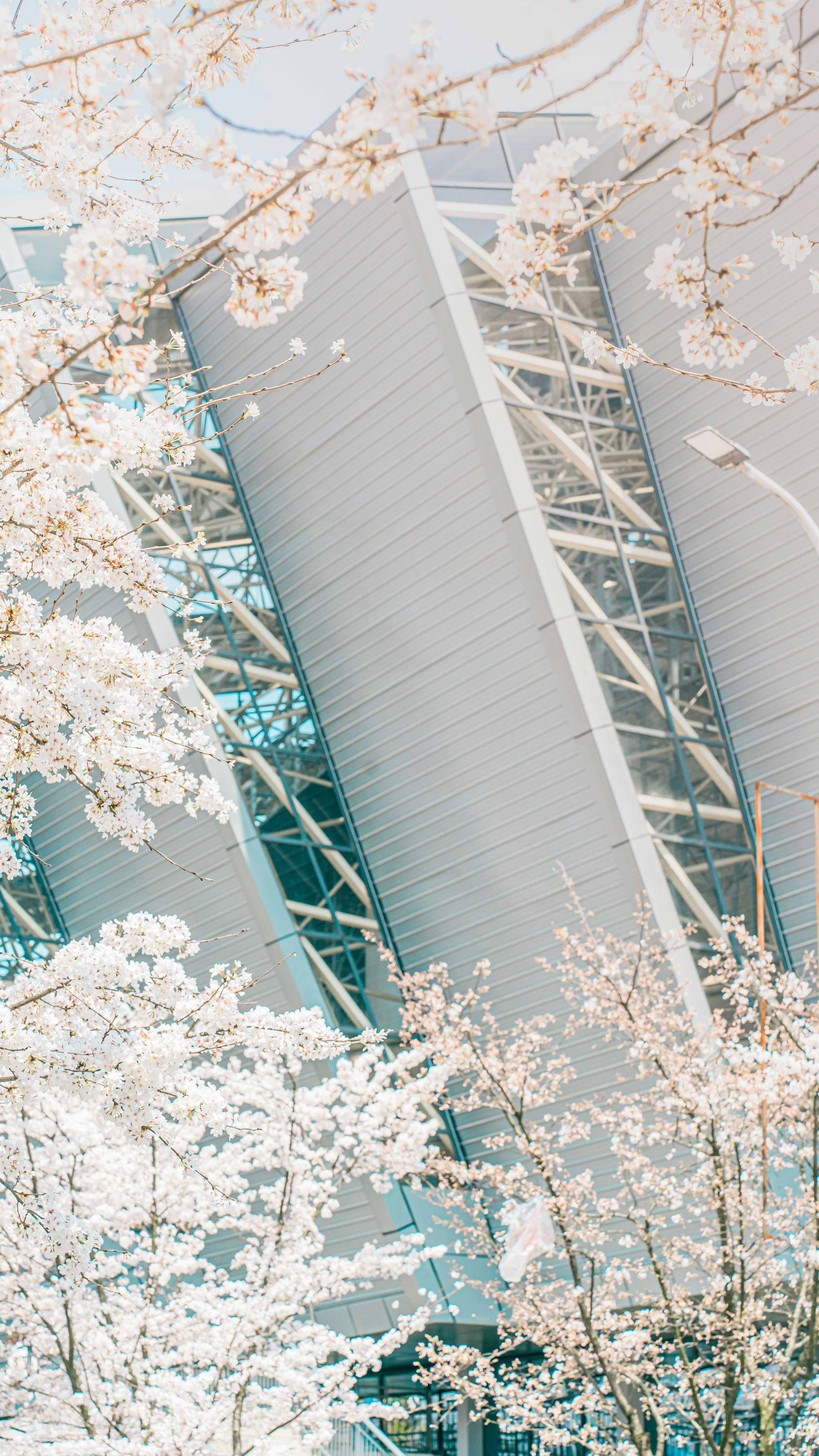 Photo by yokonoito0512