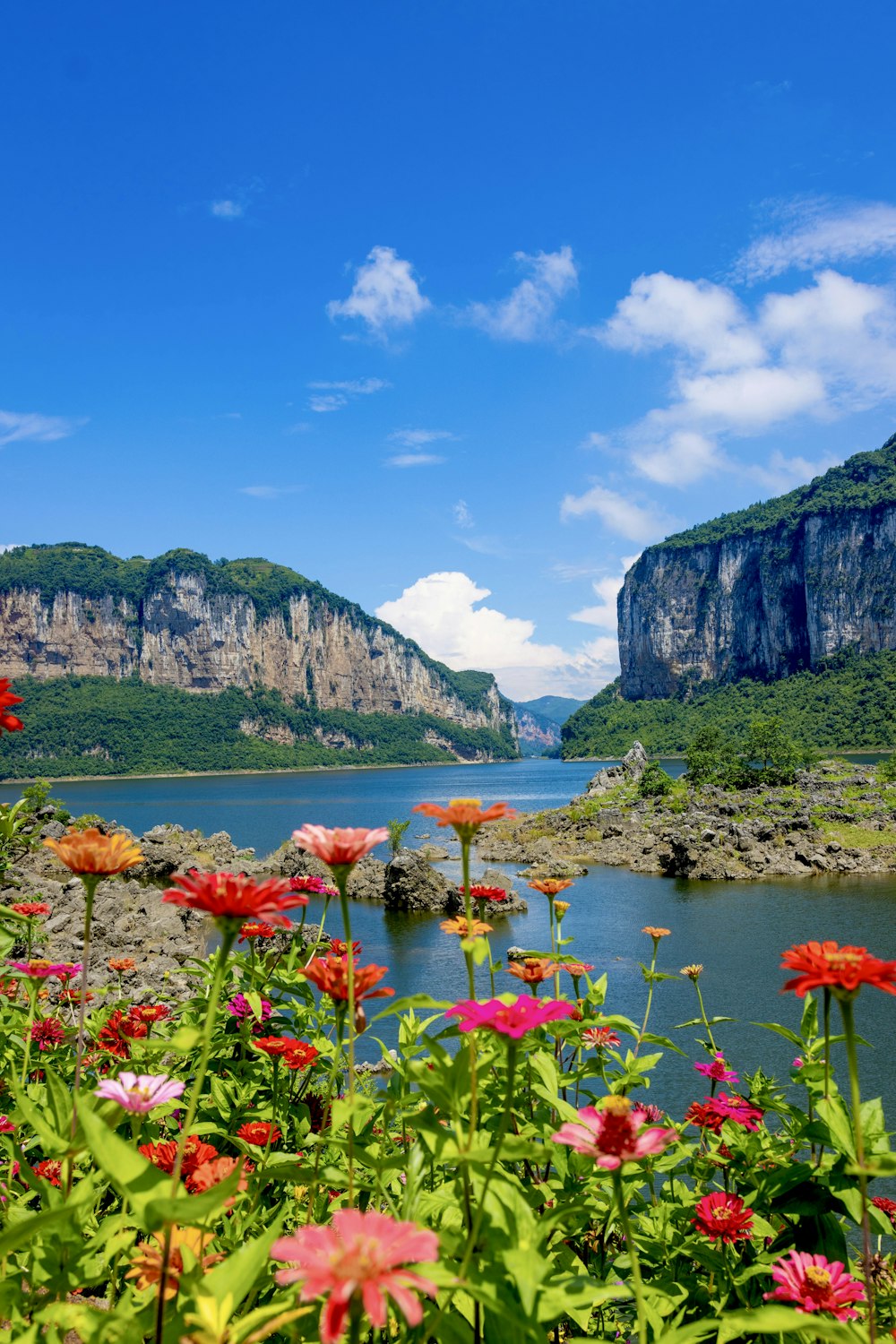 a lake surrounded by mountains with flowers in the foreground
