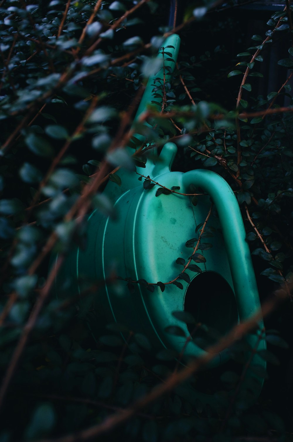 a green fire hydrant sitting in the middle of a bush