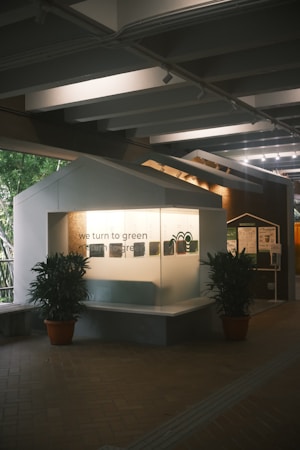Embracing Sustainability: The Future of Eco-Conscious Hosting Solutions