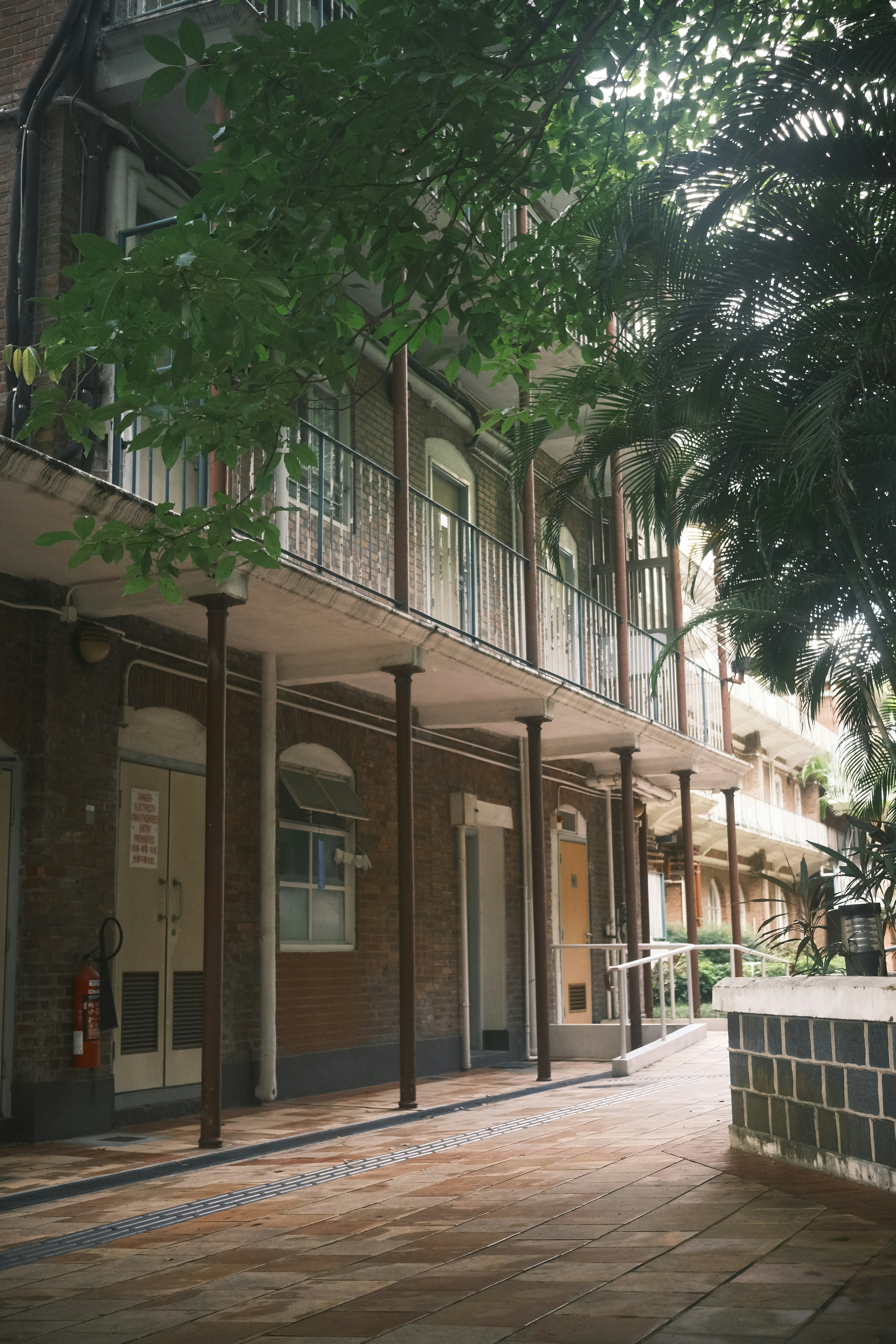 Photo by yokonoito0512