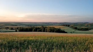 A serene landscape from a casual mobile game featuring smooth progression bars.