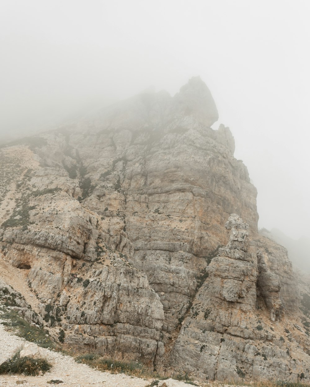 a foggy mountain with rocks and plants in the foreground