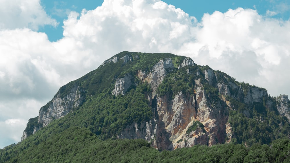 a large mountain with a forest below it