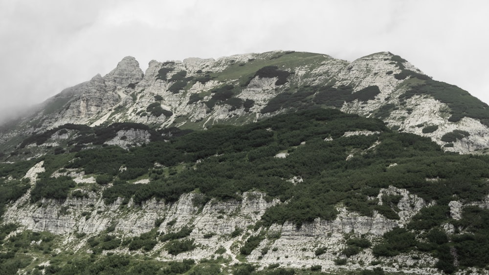 a mountain covered in lots of trees under a cloudy sky