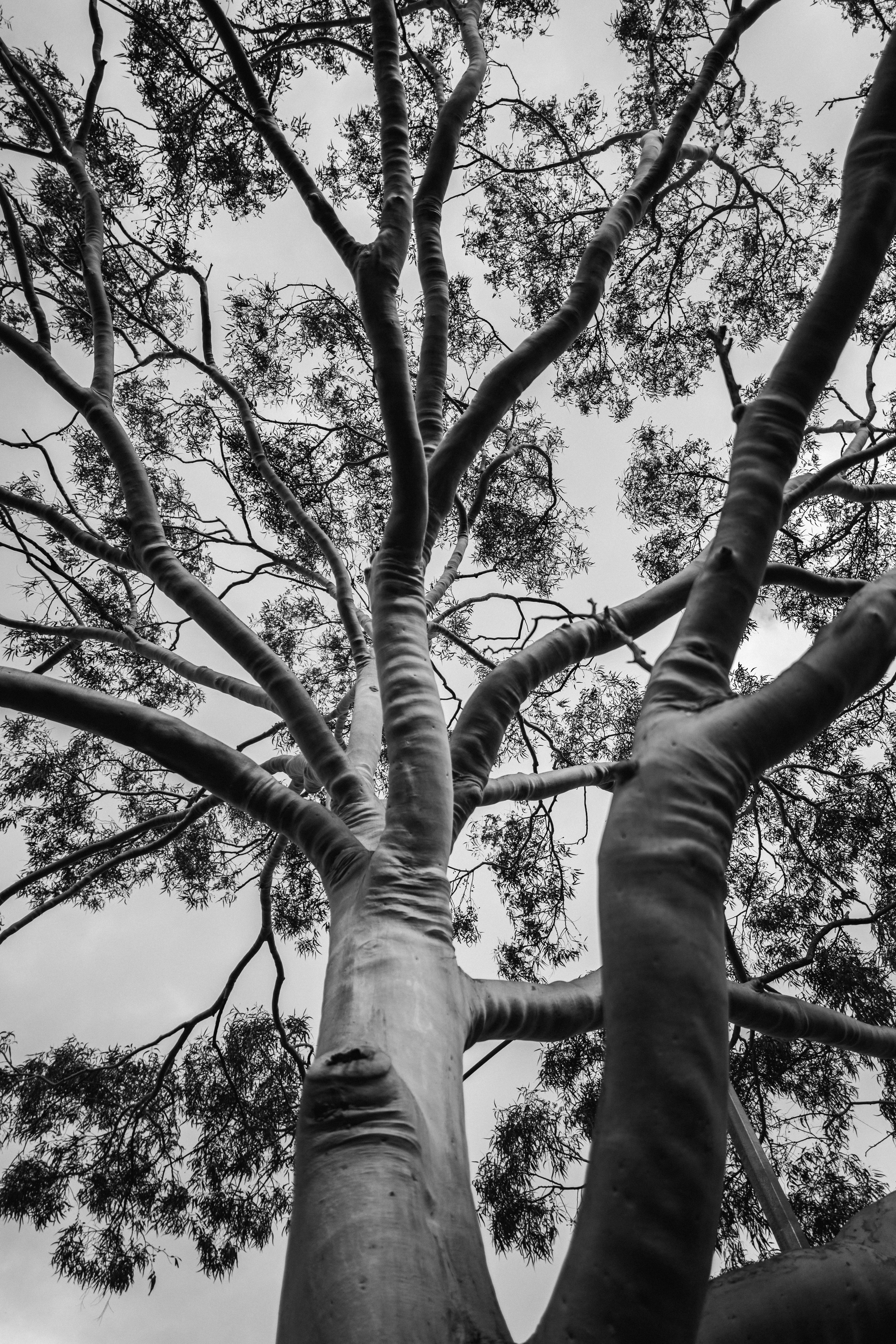 Photo by yigitarisoy