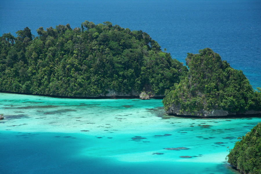 Colonial ruins on Ross Island, Andaman