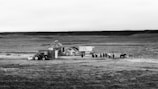 A black and white image of a rural landscape featuring an isolated farmhouse with a tractor parked nearby. Several cows stand in a line near the building, surrounded by open grasslands and hills.